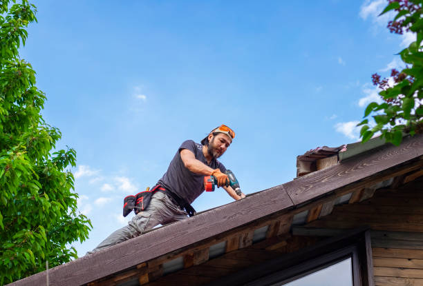 Best Roof Insulation Installation  in Bangor, MI